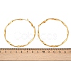 304 Stainless Steel Hoop Earrings EJEW-I320-25G-03-5