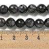 Natural Larvikite Beads Strands G-E571-A09-02-5