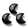 Natural Obsidian Beads G-T147-01A-03-1
