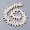 Natural Spiral Shell Beads Strands X-BSHE-I016-07-2