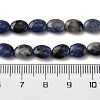 Natural Sodalite Beads Strands G-Z006-A39-5