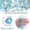 SUNNYCLUE 2 Strands Natural Apatite Chip Beads Strands G-SC0002-52-2