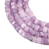 Natural Lepidolite/Purple Mica Stone Beads Strands G-G345-C18-2x4mm-4
