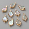 Brass Pave Natural White Shell Connector Charms KK-CJC0023-06C-G-1