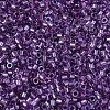 MIYUKI Delica Beads X-SEED-J020-DB1754-3