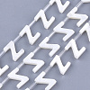 Natural Freshwater Shell Beads X-SHEL-T012-59-2