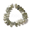 Natural Labradorite Beads Strands G-B064-B62-3