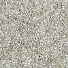 MIYUKI Round Rocailles Beads SEED-G009-RR0001-3