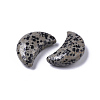 Moon Shape Natural  Dalmatian Jasper Healing Crystal Pocket Palm Stones X-G-T132-001-2