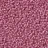 MIYUKI Round Rocailles Beads SEED-X0055-RR0556-3