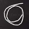 Natural Trochid Shell/Trochus Shell Beads SSHEL-O001-26B-2