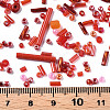 Glass Seed Beads SEED-S059-007-5