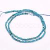 Natural Apatite Beads Strands G-F509-17-4mm-2