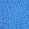 8/0 Czech Opaque Glass Seed Beads SEED-N004-003A-17-4