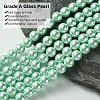 Eco-Friendly  Dyed Glass Pearl Round Bead Strands HY-A002-8mm-RB034-3