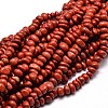 Natural Red Jasper Chip Beads Strands G-E271-124-1
