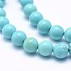 Natural Magnesite Beads Strands TURQ-G148-07-8mm-3