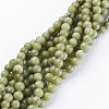 Natural Taiwan Jade Beads Strands X-GSR6mmC032-2