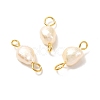 Natural Cultured Freshwater Pearl Beads Links Connectors PALLOY-JF00943-02-2