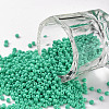 12/0 FGB Grade A Round Glass Seed Beads SEED-N001-A-1030-1