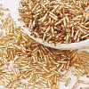 Glass Twist Bugles Seed Beads TTSDB6MM22-1