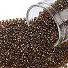 TOHO Round Seed Beads X-SEED-TR11-2152-1