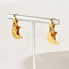 304 Stainless Steel Hoop Dangle Earrings for Women PJ4244-2