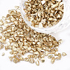 FGB Plated Glass Seed Beads SEED-S020-03E-18-1