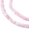 Natural Freshwater Shell Dyed Beads Strands SHEL-M018-12-09-3