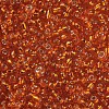 8/0 Glass Seed Beads SEED-A005-3mm-29-2