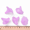 Transparent Acrylic Beads BSF796-C08-6