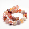 Natural Sardonyx Beads Strands G-K155-D-14mm-01-2