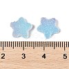 Imitation Candy Food Style Resin Cabochons X1-RESI-R461-02D-3