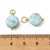 Natural Larimar Pendants PALLOY-JF05999-3