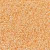MIYUKI Round Rocailles Beads X-SEED-G009-RR0282-3