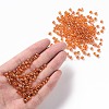 (Repacking Service Available) Glass Seed Beads SEED-C015-4mm-109B-4