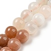 Natural Multi-Moonstone Beads Strands G-P503-10MM-04-2