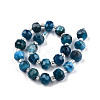 Natural Apatite Beads Strands G-N327-08D-2