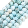 Natural Larimar Beads Strands GG-CBA007A-B01-6.5mm-2