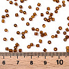 Glass Seed Beads SEED-A004-2mm-13-3