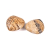 Natural Picture Jasper Healing Stones G-G020-01Z-2