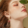 20Pcs Brass Hoop Earring Findings KK-BBC022-09B-5