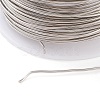 Non-Tarnish 316 Surgical Stainless Steel Wire TWIR-L004-01B-P-3