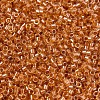 MIYUKI Delica Beads SEED-X0054-DB1702-3