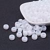 Opaque Acrylic European Large Hole Beads PL338-1-1