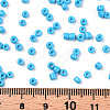 Baking Paint Glass Seed Beads SEED-S001-K10-5