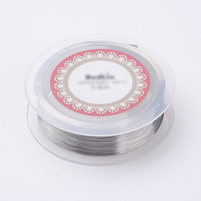 Steel Wire TWIR-E001-0.1mm-1