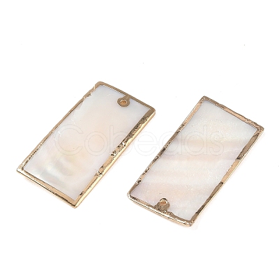 Natural Shell Pendants SH-CBACA76-12-1