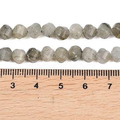 Natural Labradorite Beads Strands G-P611-C26-01-1