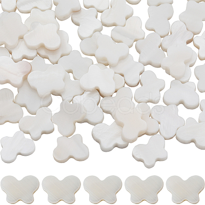 2 Strands Natural Freshwater Shell Beads Strands SHEL-SC0001-40-1